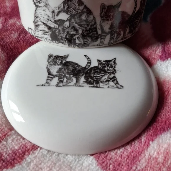 Covered Dish - Picture 6 of 7